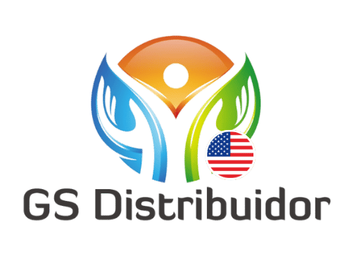 GS Distrbuidor USA - Logo USA