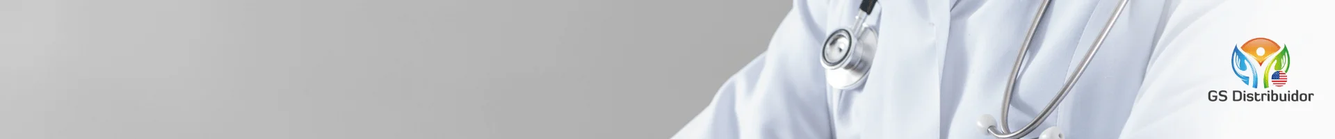 GS Distrbuidor USA - breadcrumbs All site