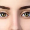 Masterclass Fox Eyes